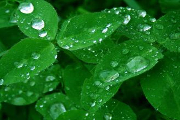 八字天干透双癸意味着什么 八字天干透双癸意味着什么