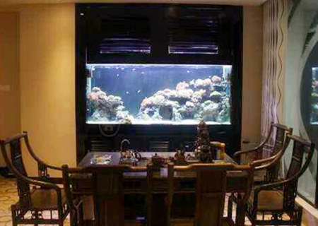 最旺财的风水吉祥物是什么 最旺财的风水吉祥物是什么