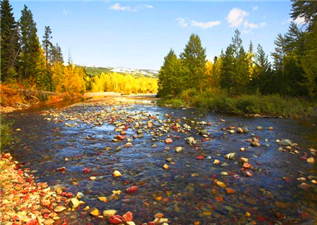 八字五行属水适合的工作 八字五行属水适合的工作