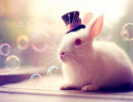 属兔男人2021年佩戴什么好 属兔男人2021年佩戴什么好