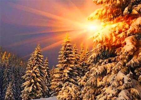 丙火女的命运如何