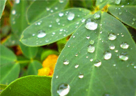 癸水女的命运如何 癸水女的命运如何