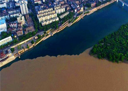 八字格局中的清格是什么意思