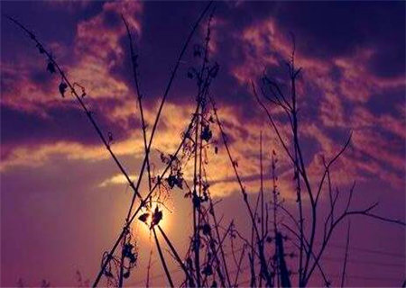 命带空亡会怎样 命带空亡会怎样