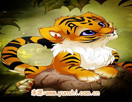 属虎纹身纹什么旺财