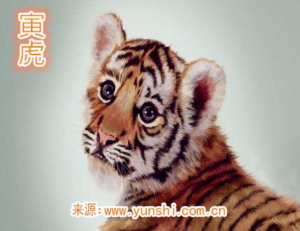 属虎人一生有哪些灾难 属虎人一生有哪些灾难