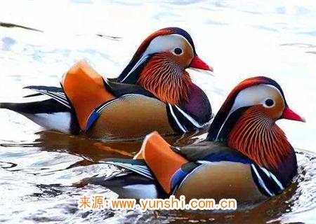 婚姻好的八字女命 婚姻好的八字女命