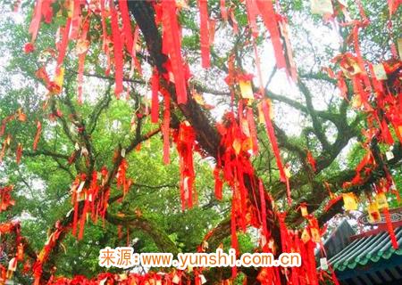 婚姻好的八字女命 婚姻好的八字女命