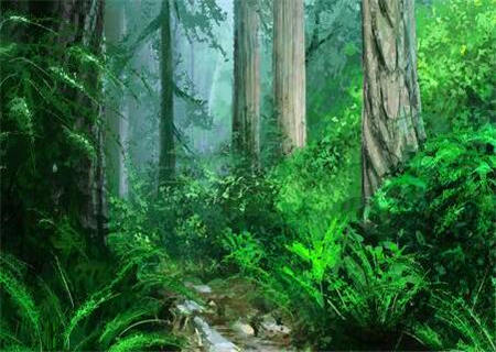 大林木命什么意思 大林木命什么意思