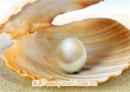 海中金一生运势