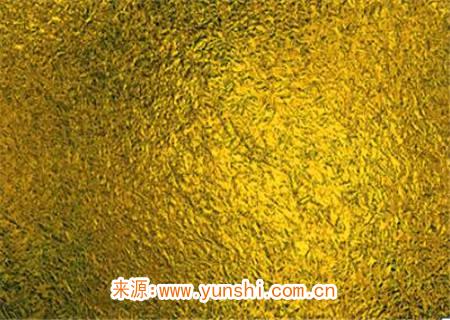 金箔金命是什么运势 金箔金命是什么运势