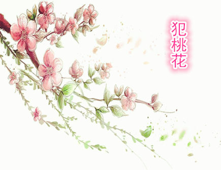 容易犯桃花的生肖 容易犯桃花的生肖