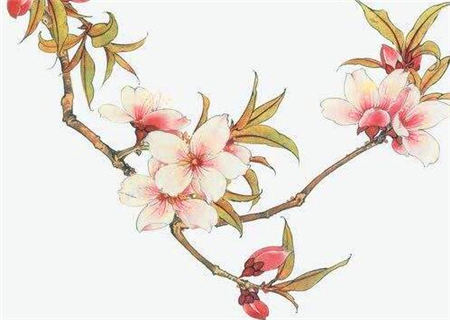 什么样的八字桃花运旺 什么样的八字桃花运旺