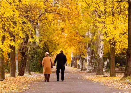 八字看一辈子会不会离婚 八字看一辈子会不会离婚