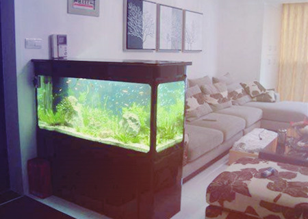 家中鱼缸有哪些摆放禁忌 家中鱼缸有哪些摆放禁忌