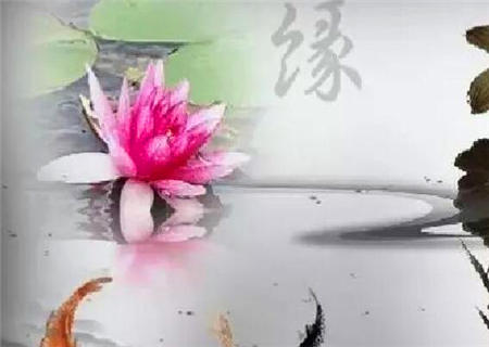 如何从八字看父母缘分如何 如何从八字看父母缘分如何