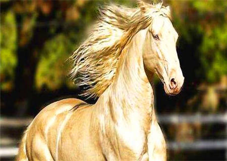 八字驿马的意义 八字驿马的意义