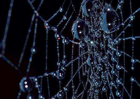 八字天罗地网是什么意思