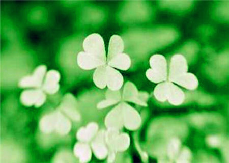 食伤泄秀的命理特征 食伤泄秀的命理特征