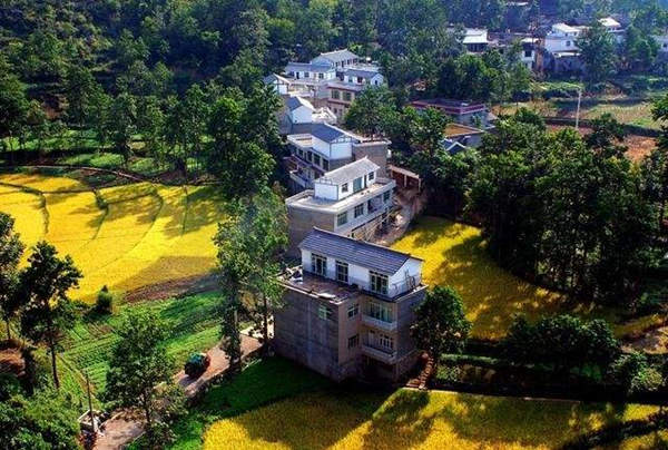 甲木日元行运口诀 甲木日元行运口诀