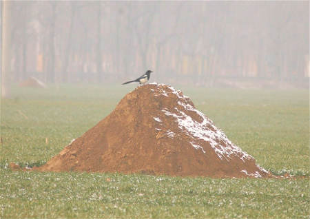 风水宝地下葬异象 风水宝地下葬异象