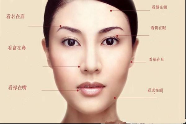 面相三庭十二宫