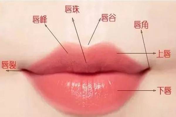 面相五官的看法