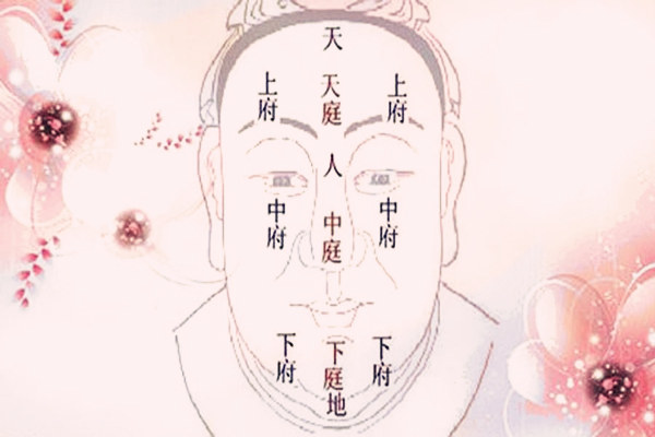 面相学五官简介