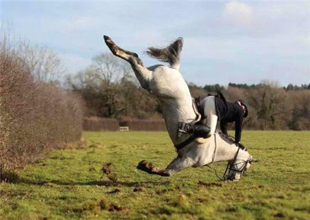 八字中盖头截脚是什么意思 八字中盖头截脚是什么意思