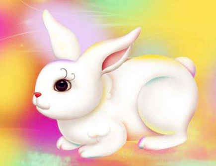 属兔男人的感情弱点 属兔男人的感情弱点