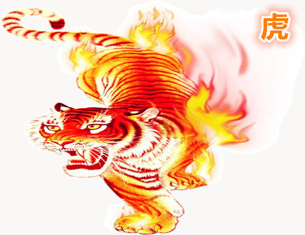 属虎女人的感情弱点