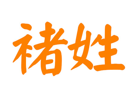 姓褚有寓意男孩名字