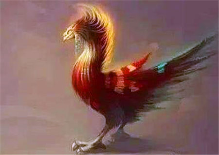 八字中什么是孤鸾煞 八字中什么是孤鸾煞