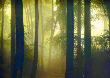 八字比劫是什么意思 八字比劫是什么意思