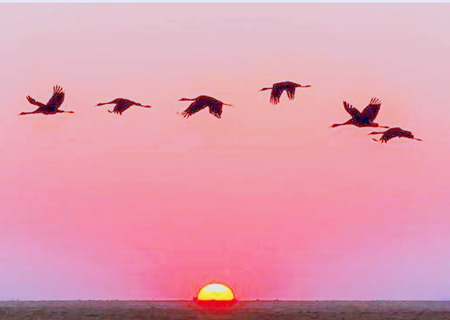 八字比劫是什么意思 八字比劫是什么意思