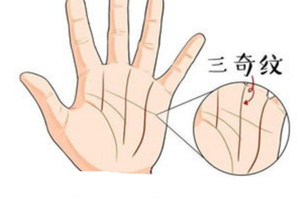 男人哪种手相好