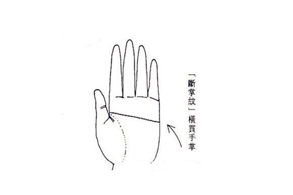 男人哪种手相好