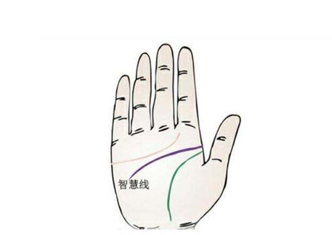 手相中的智慧线