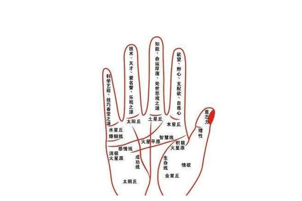 手相线路论命