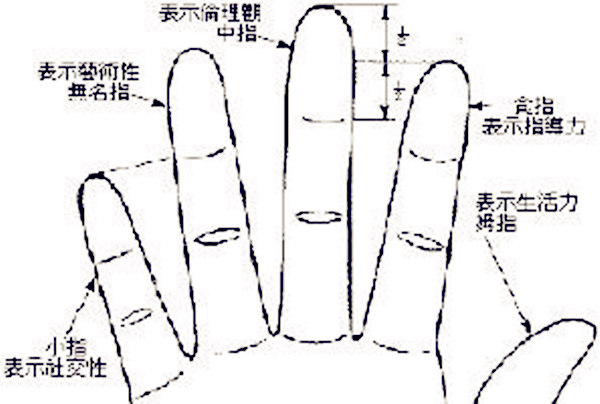 手相五指看命运特征