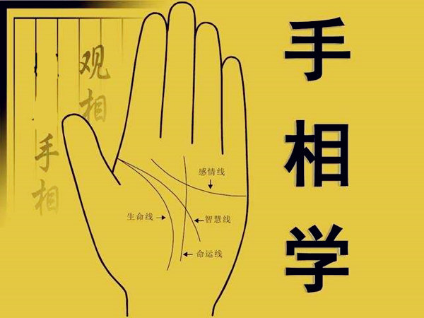 手相入门基础知识全解