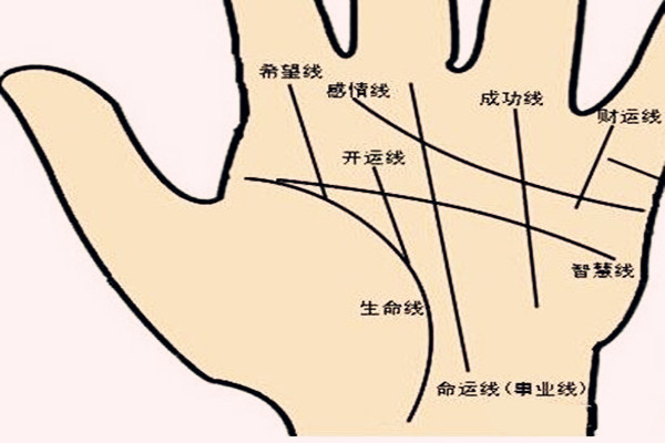 手相掌纹看介绍
