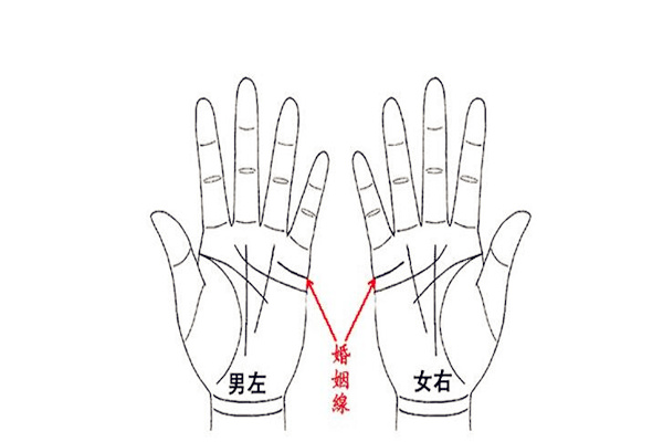 婚姻线看婚姻能幸福吗