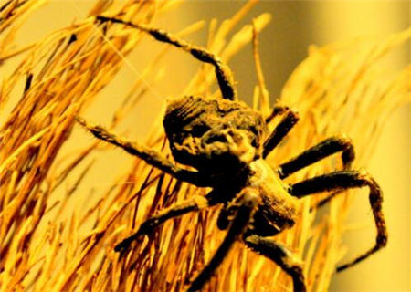 八字六厄是什么意思 八字六厄是什么意思