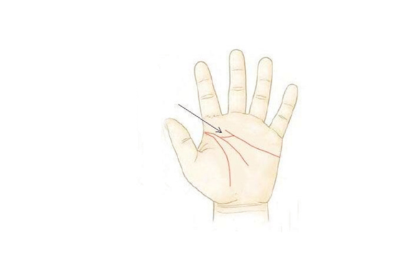 男人感情线怎么看