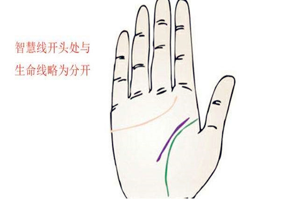 男人智慧线怎么看