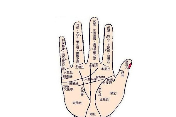 手相看配偶