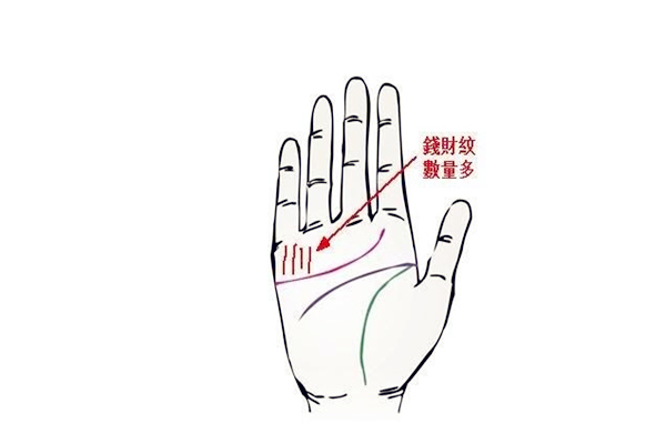 财运好的手相什么样