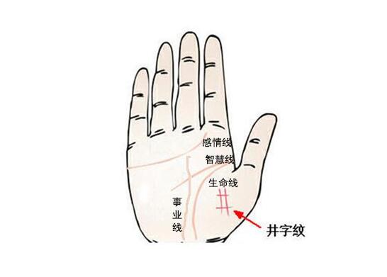 手相井字纹代表什么