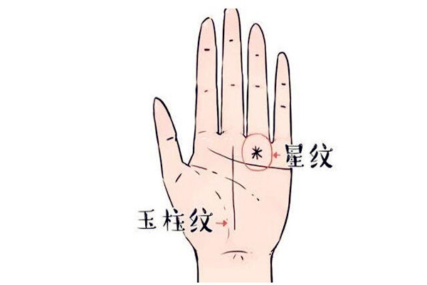 星纹手相论命